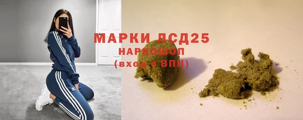 дживик Осташков
