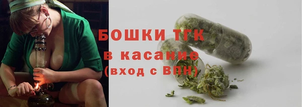 амф Арсеньев