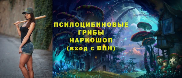 амф Арсеньев