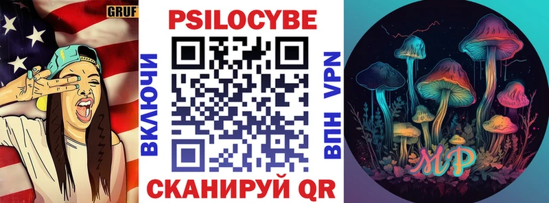 Купить где Дубна Галлюциногенные грибы Psilocybe
